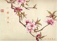 (倚天同人)一缘汉水gl