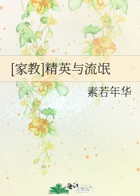 [家教]精英与流氓